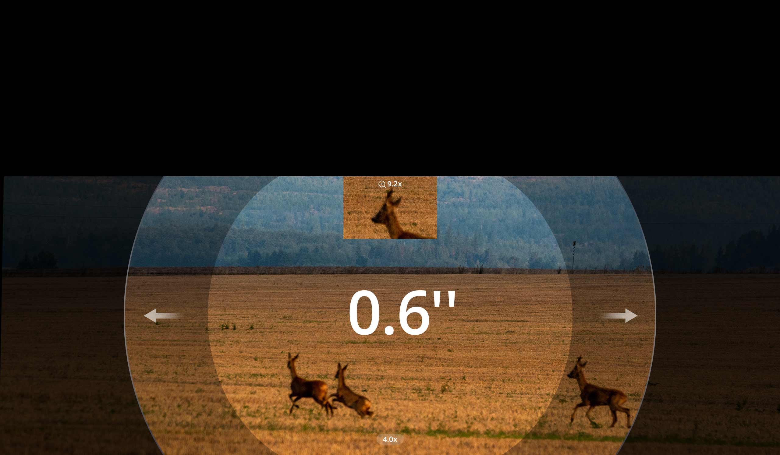 2.3x Lossless Magnification