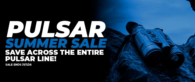 Large - Pulsar Summer