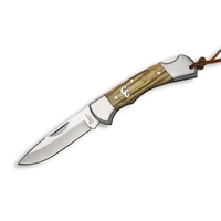 American Buffalo Sagebrush Lockback Zebrawood Knife