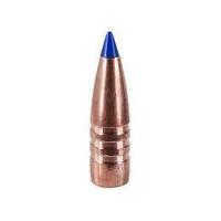 Barnes .308 130 gr Tipped TSX 10 Pack