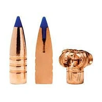 Barnes .308 165 gr Tipped TSX 10 Pack