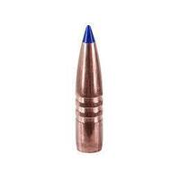 Barnes .308 168 gr Tipped TSX 10 Pack