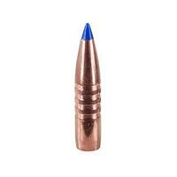 Barnes .308 180 gr Tipped TSX 10 Pack