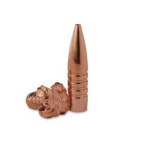 Barnes 9.3/.366 286 gr TSX 50 Pack