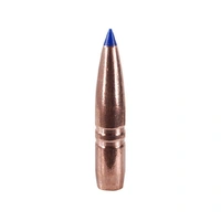 Barnes .243 95 gr LRX BT 10 Pack