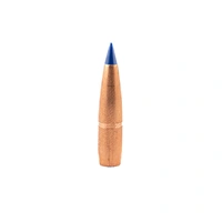 Barnes .224 65GR LRX BT 50 Pack