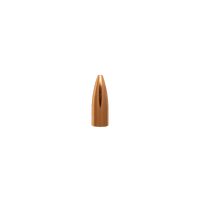 Berger .20 35 gr FB Varmint10 Pack