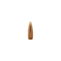 Berger .20 40 gr BT Varmint 10 Pack