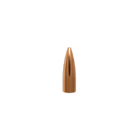 Berger .22 55 gr FB Target 10 Pack