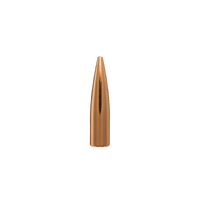 Berger 6mm 88 gr High BC FB Varmint 10 Pack