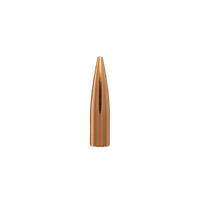 Berger 6mm 88 gr High BC FB Varmint 10 Pack