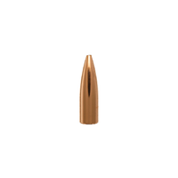 Berger 6mm BR Column Target 10 Pack