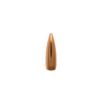 Berger 6mm 65 gr BT Target 10 Pack