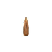 Berger 6mm 65 gr BT Target 10 Pack