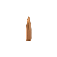 Berger 6mm 90 gr BT Target 10 Pack