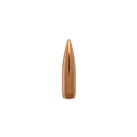Berger 6mm 90 gr BT Target 10 Pack