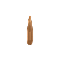 Berger 6mm 95 gr VLD Hunting 10 Pack