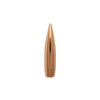 Berger  .270 140 gr Classic Hunter 10 Pack