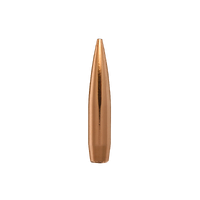 Berger  .270 170 gr  Elite Hunter 10 Pack