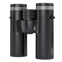 GPO Passion 10x34 SD Binoculars