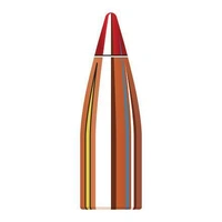 Hornady .204 32 gr V-MAX 10 Pack
