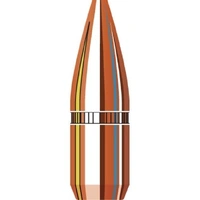 Hornady .224 55 gr HP 100 Pack
