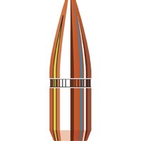 Hornady .224 55 gr HP 6000 Pack