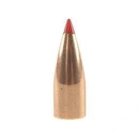 Hornady .308 110 gr V-MAX 10 Pack