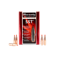 Hornady 6.5mm 123 gr SST 100 Pack