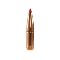 Hornady 6.5mm 140 gr SST 10 Pack