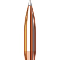 Hornady 7mm 166 gr A-Tip Match 10 Pack