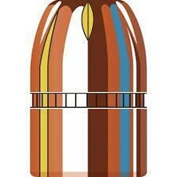 Hornady .452 240 gr XTP Mag 100 Pack