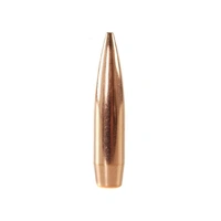 Lapua .264 123 gr Scenar 10 Pack