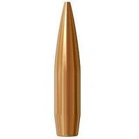 Lapua .308 175 gr Scenar 100 Pack