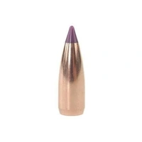Nosler 6mm 55 gr Ballistic Tip 10 Pack