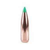 Nosler .308 165 gr Ballistic Tip 10 Pack