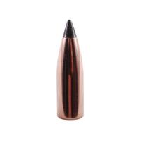 Nosler .224 53 gr Varmageddon BT 10 Pack