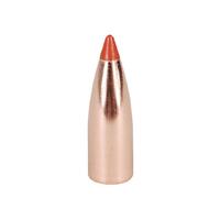 Nosler .224 40 gr Ballistic Tip Lead Free 10 Pack