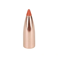 Nosler .224 40 gr Ballistic Tip Lead Free 100 Pack