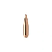 Nosler .224 70 gr RDF 10 Pack