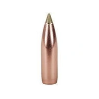 Nosler 8mm 180 gr E-Tip 50 Pack