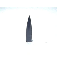 Outer Edge 6mm 81 gr Target 10 Pack