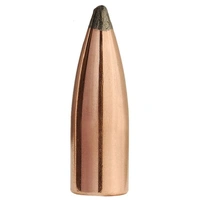 Sierra .224 55 gr Varminter SP Blitz 100 Pack