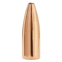 Sierra 6mm 60 gr Varminter HP 10 Pack