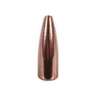Speer .204 39 gr TNT 10 Pack