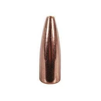 Speer .204 39 gr TNT 100 Pack 100 Pack