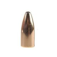 Speer .224 45 gr Varmint Soft Point 10 Pack