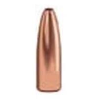 Speer .243 75 gr Varmint HP 10 Pack