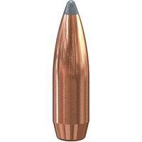 Speer .257 100 gr Varmint Soft Point 10 Pack