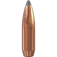 Speer .257 120 gr Varmint Soft Point 10 Pack